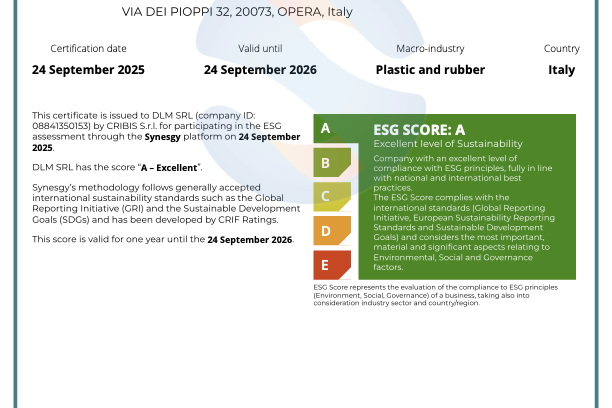 DLM Srl ESG Certificate