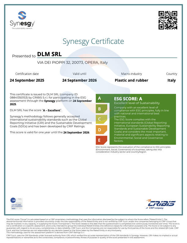 DLM Srl ESG Certificate