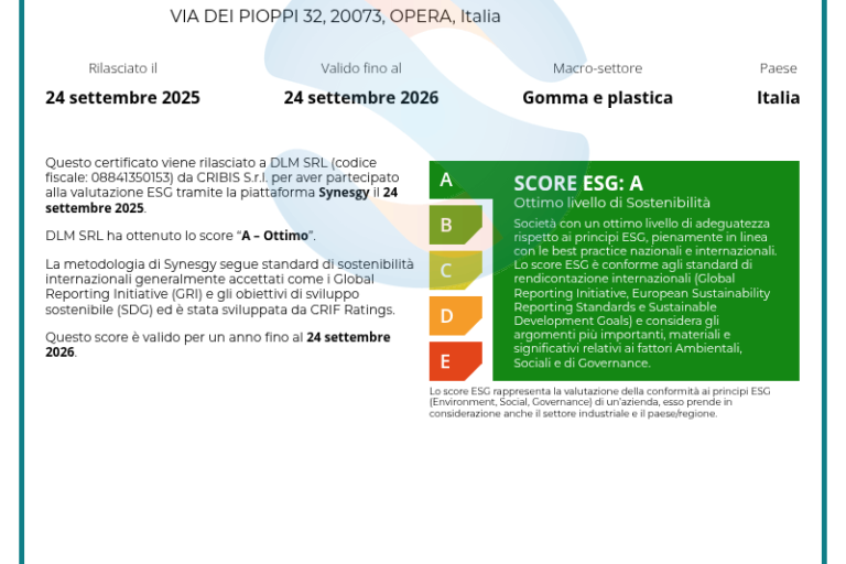 DLM Srl ESG Certificate